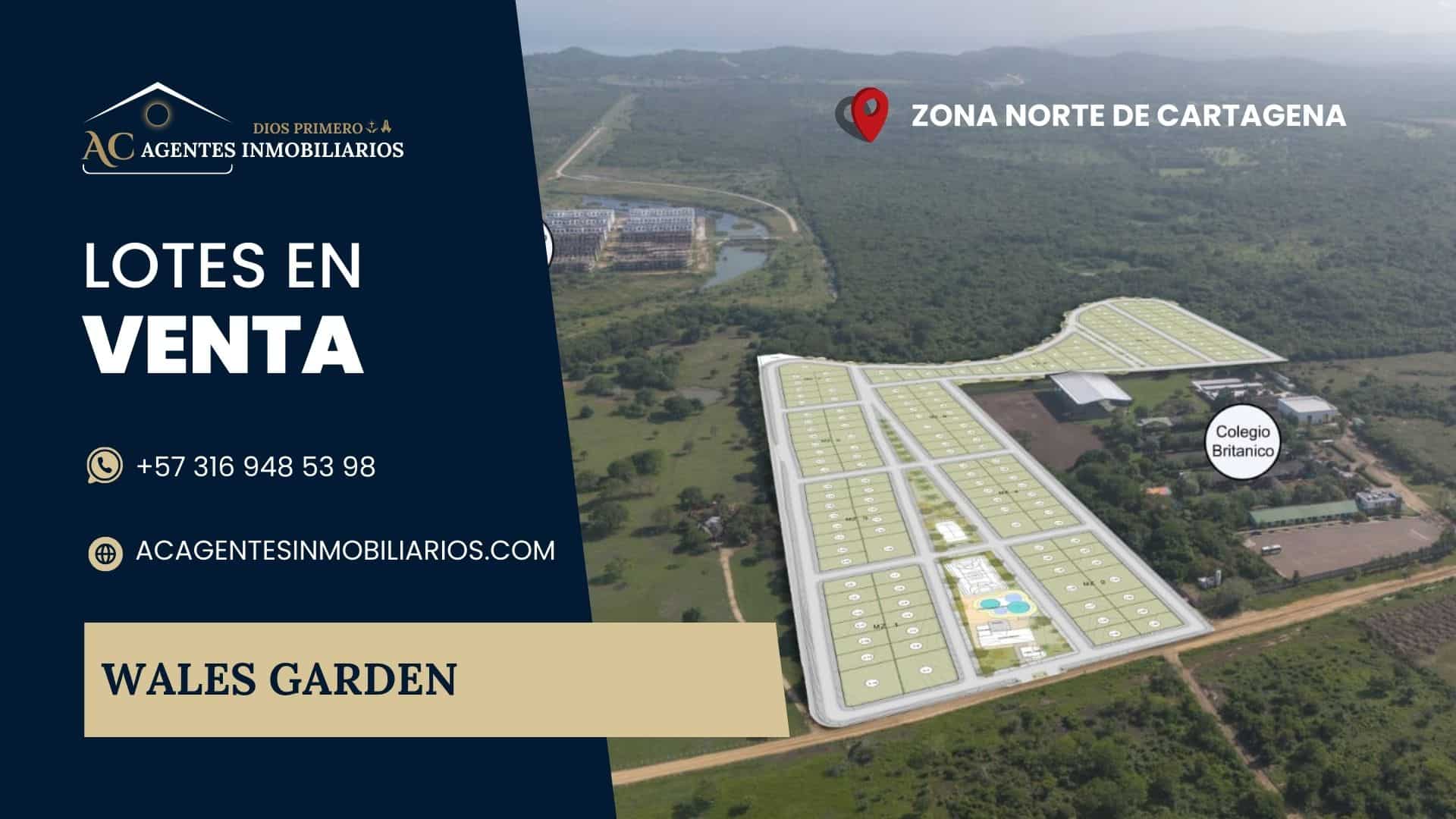 Portada Youtube Lotes en venta en cartagena simaruba